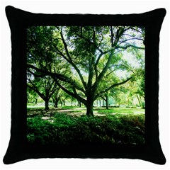 Highland Park 14 Throw Pillow Case (black) by bestdesignintheworld