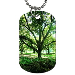 Highland Park 14 Dog Tag (one Side) by bestdesignintheworld