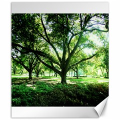 Highland Park 14 Canvas 8  X 10  by bestdesignintheworld