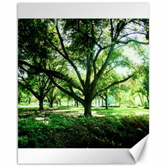 Highland Park 14 Canvas 16  X 20   by bestdesignintheworld