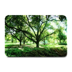 Highland Park 14 Plate Mats by bestdesignintheworld