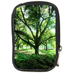 Highland Park 14 Compact Camera Cases by bestdesignintheworld