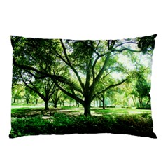 Highland Park 14 Pillow Case (two Sides) by bestdesignintheworld