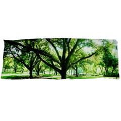 Highland Park 14 Body Pillow Case (dakimakura) by bestdesignintheworld