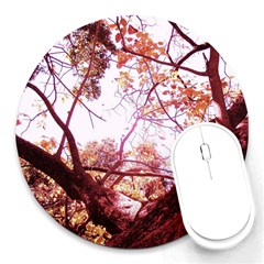 Highland Park 12 Round Mousepads by bestdesignintheworld