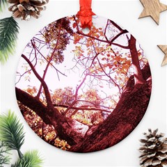 Highland Park 12 Ornament (round) by bestdesignintheworld