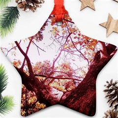 Highland Park 12 Ornament (star) by bestdesignintheworld