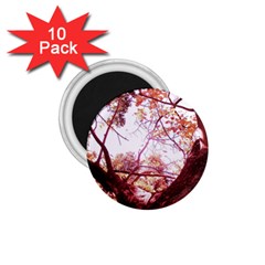 Highland Park 12 1 75  Magnets (10 Pack)  by bestdesignintheworld