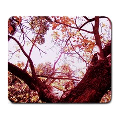 Highland Park 12 Large Mousepads by bestdesignintheworld