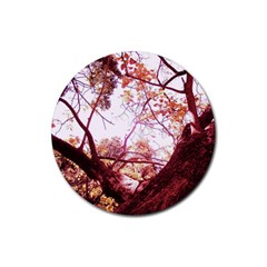 Highland Park 12 Rubber Round Coaster (4 Pack)  by bestdesignintheworld