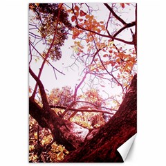 Highland Park 12 Canvas 20  X 30   by bestdesignintheworld