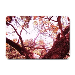 Highland Park 12 Small Doormat  by bestdesignintheworld