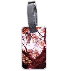 Highland Park 12 Luggage Tags (one Side)  by bestdesignintheworld