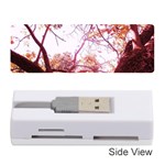 Highland Park 12 Memory Card Reader (Stick)  Front