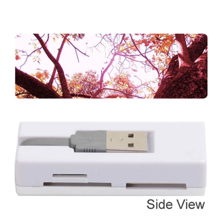 Highland Park 12 Memory Card Reader (Stick) 