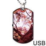 Highland Park 12 Dog Tag USB Flash (Two Sides) Front