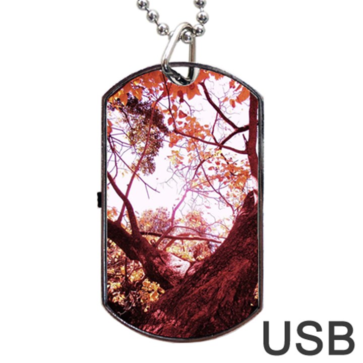 Highland Park 12 Dog Tag USB Flash (Two Sides)