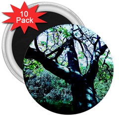 Highland Park 11 3  Magnets (10 Pack)  by bestdesignintheworld