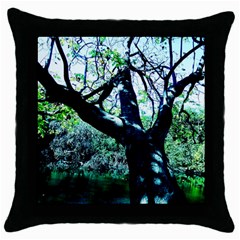 Highland Park 11 Throw Pillow Case (black) by bestdesignintheworld