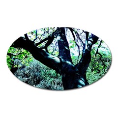 Highland Park 11 Oval Magnet by bestdesignintheworld