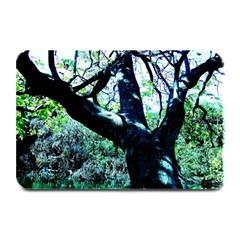 Highland Park 11 Plate Mats by bestdesignintheworld