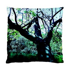 Highland Park 11 Standard Cushion Case (two Sides) by bestdesignintheworld