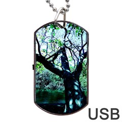 Highland Park 11 Dog Tag Usb Flash (one Side) by bestdesignintheworld