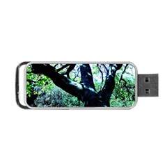 Highland Park 11 Portable Usb Flash (one Side) by bestdesignintheworld