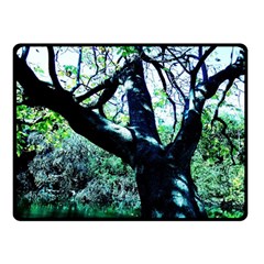 Highland Park 11 Double Sided Fleece Blanket (small)  by bestdesignintheworld