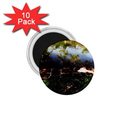 Highland Park 10 1 75  Magnets (10 Pack)  by bestdesignintheworld