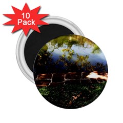 Highland Park 10 2 25  Magnets (10 Pack)  by bestdesignintheworld