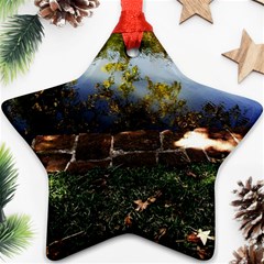 Highland Park 10 Star Ornament (two Sides) by bestdesignintheworld