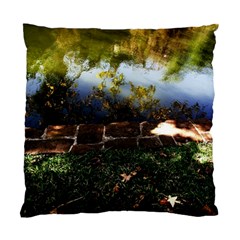 Highland Park 10 Standard Cushion Case (one Side) by bestdesignintheworld