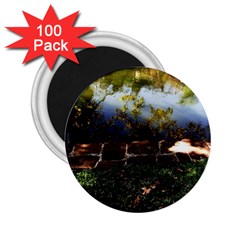 Highland Park 10 2 25  Magnets (100 Pack)  by bestdesignintheworld