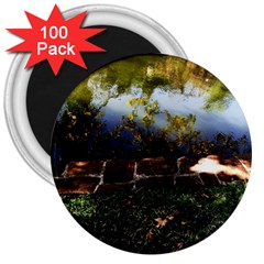 Highland Park 10 3  Magnets (100 Pack) by bestdesignintheworld