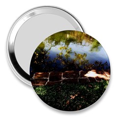 Highland Park 10 3  Handbag Mirrors