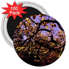 Highland Park 9 3  Magnets (100 Pack) by bestdesignintheworld