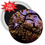 Highland Park 9 3  Magnets (100 pack) Front