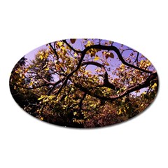 Highland Park 9 Oval Magnet by bestdesignintheworld