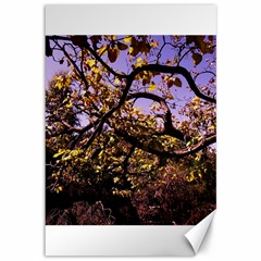 Highland Park 9 Canvas 12  X 18   by bestdesignintheworld