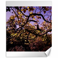 Highland Park 9 Canvas 16  X 20   by bestdesignintheworld