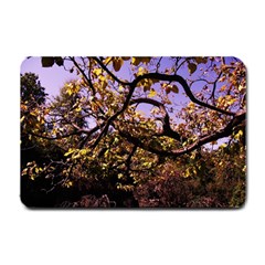 Highland Park 9 Small Doormat  by bestdesignintheworld