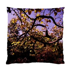 Highland Park 9 Standard Cushion Case (one Side) by bestdesignintheworld