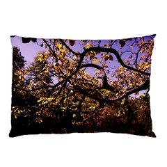 Highland Park 9 Pillow Case (two Sides) by bestdesignintheworld