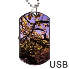 Highland Park 9 Dog Tag Usb Flash (one Side) by bestdesignintheworld