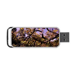 Highland Park 9 Portable Usb Flash (two Sides) by bestdesignintheworld