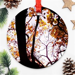 Highland Park 8 Ornament (round) by bestdesignintheworld