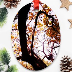 Highland Park 8 Ornament (oval)