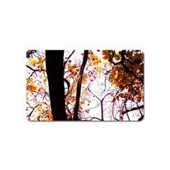 Highland Park 8 Magnet (name Card) by bestdesignintheworld