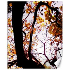 Highland Park 8 Canvas 16  X 20   by bestdesignintheworld